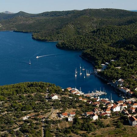Vala Daire Božava Dış mekan fotoğraf